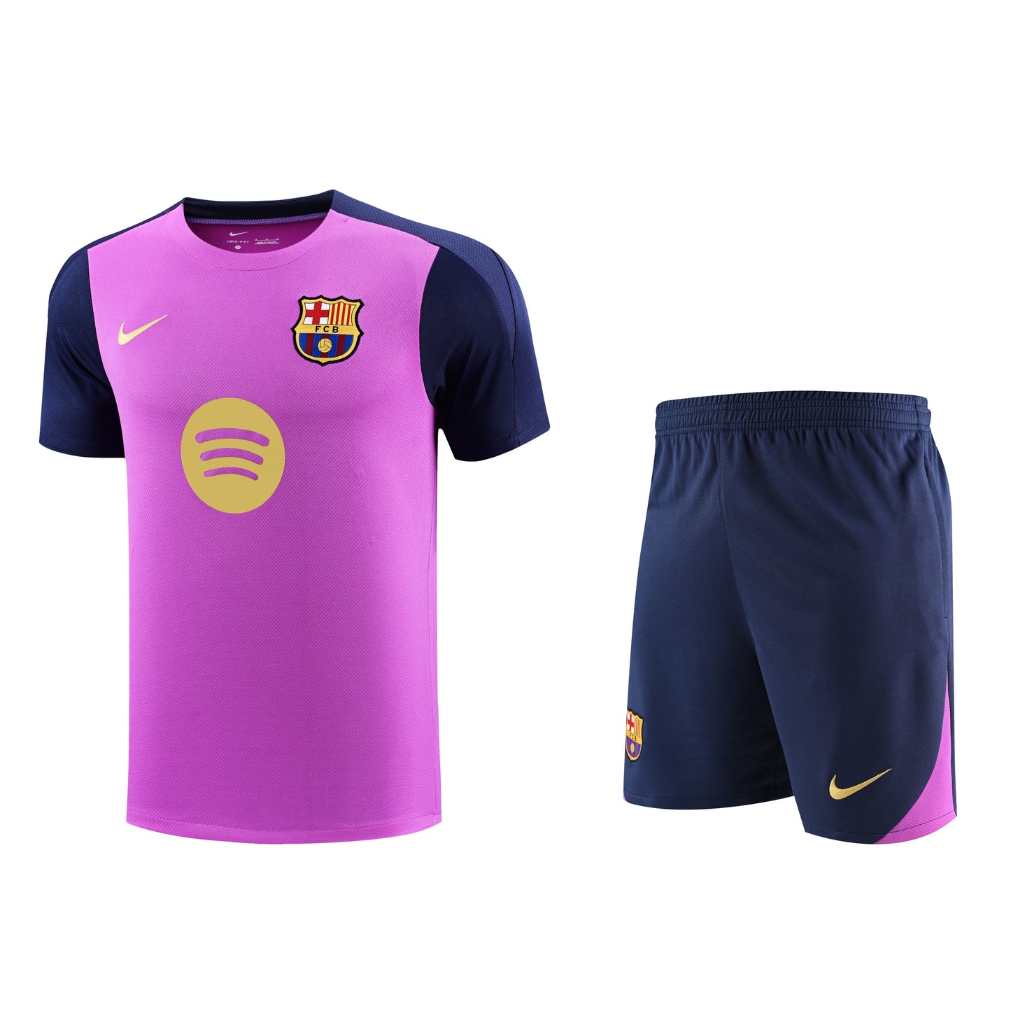 Barcellona Viola2025